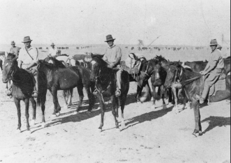 'Stockmen with packhorses at Avon Downs Station, 1939.' State Library Qld