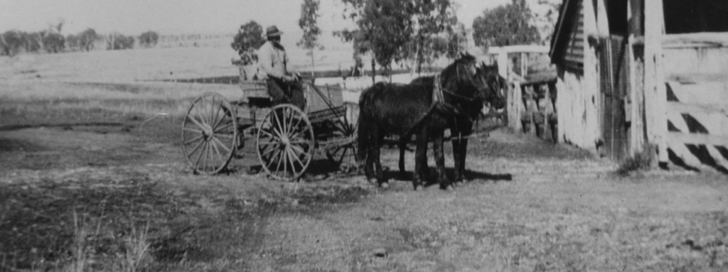 Mount Alma Station, Calliope District, Queensland, State Library of QLD