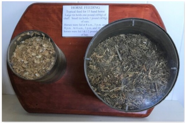 'HORSE FEED / Typical feed for 15 hand horse / large tin holds one pound (450g) of / chaff. Small tin holds one pound (450g) / of oats. / Horses were fed at 8 a.m., 5 p.m. and / 8 p.m. At 6 a.m., 3 p.m. and 10 p.m. horses were fed 1 &1/2 pounds (680g) / of hay.' From the collection of 8th/13th Victorian Mounted Rifles Regimental Collection. Victoria Collections