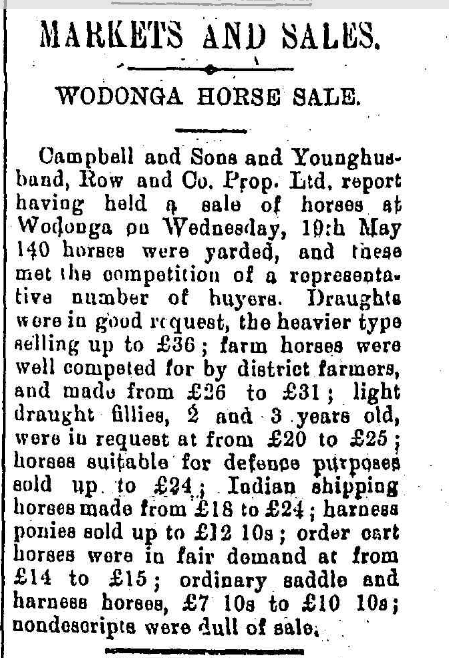 Wodonga Horse Sales, Omeo Standard and Mining Gazette, Friday 4 June 1915