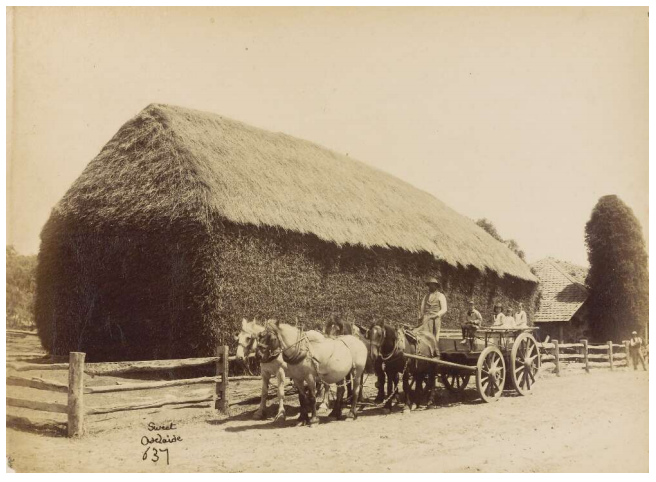 'Four unidentified children and one adult in cart in front of hay stack, South Australia, ca. 1870s?. Photo taken by Samuel White Sweet Samuel White (1825-1886).' National Library of Australia.