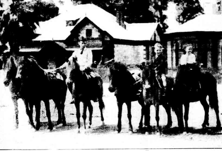 "DAINTY TIMOR PONIES with their young attendants during a spell in their exercising on Park terrace yesterday. The riders are from left: — Bob Parkes, Barry Moore and Charles Lawson."

Advertiser (Adelaide), November 1934.