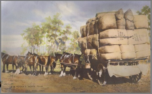 "It is my Great Uncle Roland Hodge’s horse team at Hill End in 1921." Personal photo from Rohan Williams.