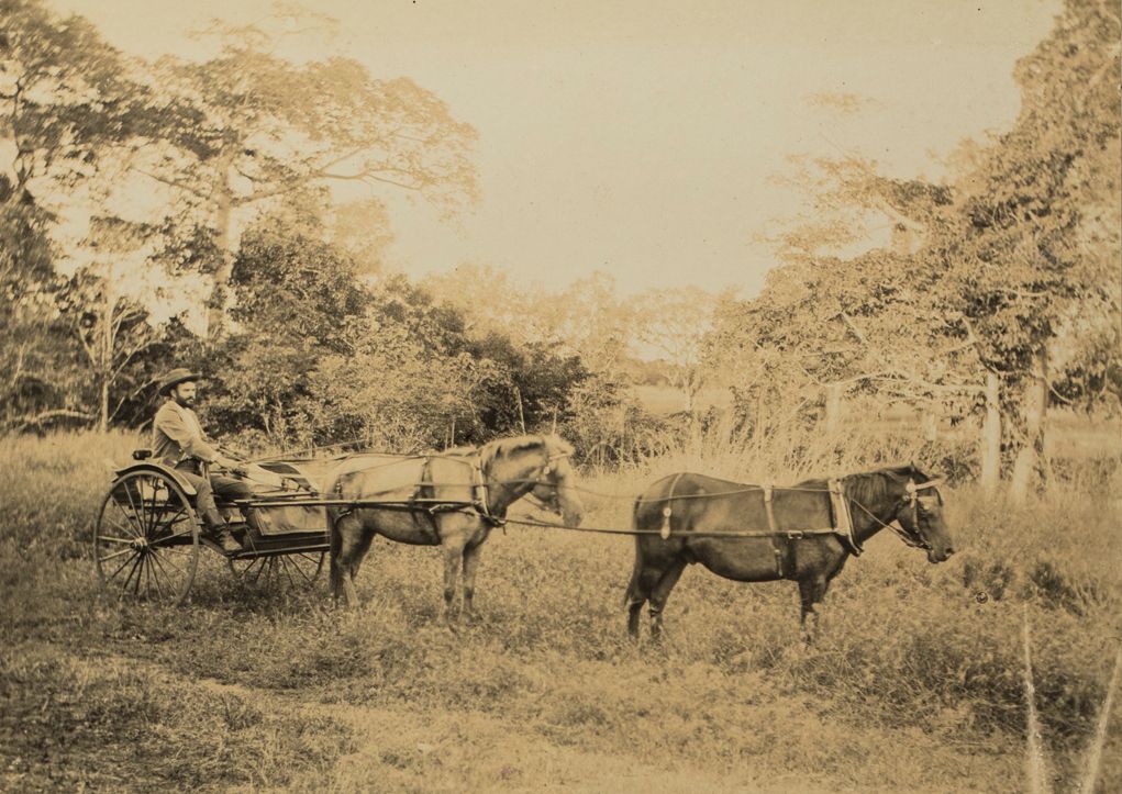 W. J. Barnes on horse drawn cart, 1886. Territorystories.NT.gov.au