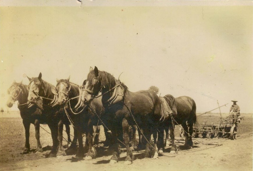 Great photo sent in by Simon, of his grandfather Robert Leslie Busch. Photo taken 1940-41, Robert had been in the Light Horse in WW1