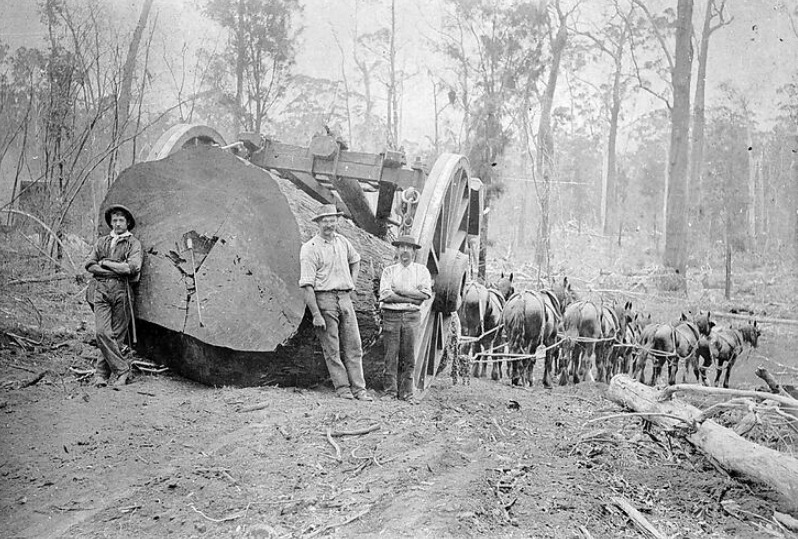 Albany District, Western Australia, circa 1900. Individuals Identified: Collins, James Sullivan.’ Museums Vic