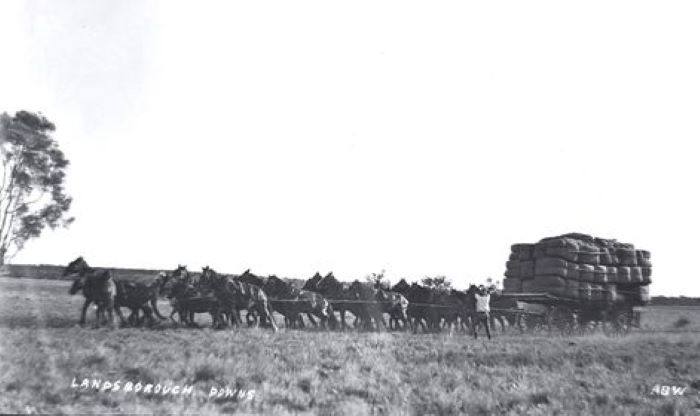 "Wagon loaded with bales of wool from Landsborough Downs, Hughenden. Photo taken by Amos B Watts, a great uncle, around 1923." Sent in by his great-nephew Mick.,