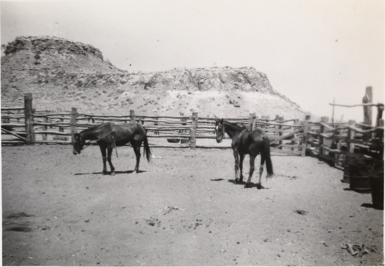 Horseyard, Gogo Station, ca. 1957-1958, State Library of W,A