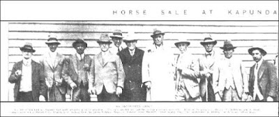 HORSE SALE AT KAPUNDA.
AN INTERESTED GROUP. The Horse Sale held at Kapunda last week attracted a lot of attention. The sales totalled 456, and the average price was over £15. Those in the group are Messrs. R. McKenna and J. Robb (buyers for India), Harold Coles, Charles Coles, Sydney Reid, Sir Sidney Kidman, Messrs. C. Kidman, Steve Margrett (Indian buyer), Ross Coles (auctioneer), G. Medlow, and A. Raws (Indian buyer). 
Above photo & caption - The Chronicle, October 1939.
