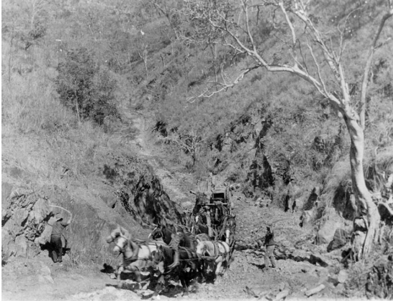 Irvinebank Mining Company's horse drawn wagon, Montalbion. (The old township of Montalbion is located in the vicinity of Herberton.) 1914.'

Queensland State Archives.