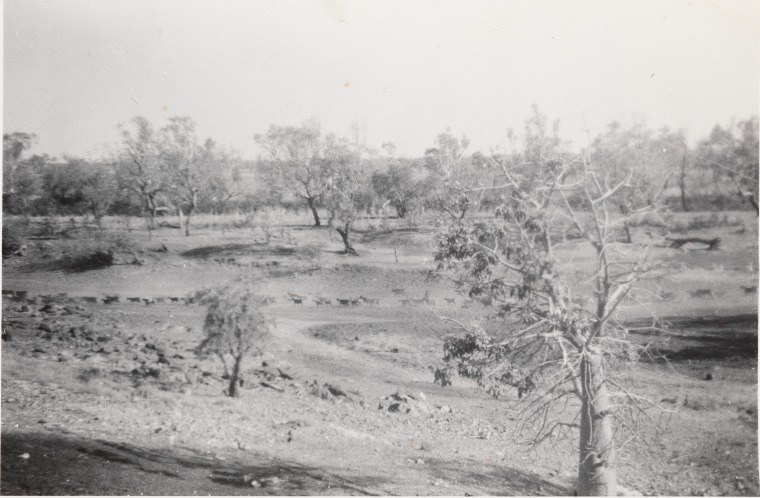Landscape at Gogo Station, ca. 1957-1958, State Library of W.A.