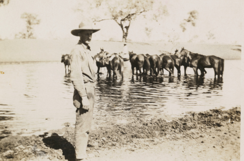 'Jim Kennedy with stock horses of Charlie Paige in a lake formed by overflow from a bore, on Kidman's property 'Oringa' Station. 1927.' Photo by James J. Kennedy State Library of S.A.