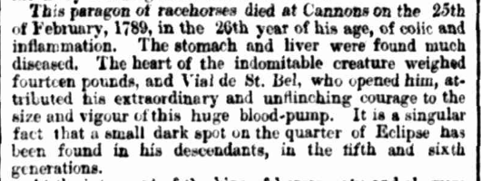 The Story of Eclipse, Sydney Mail May 16 1868