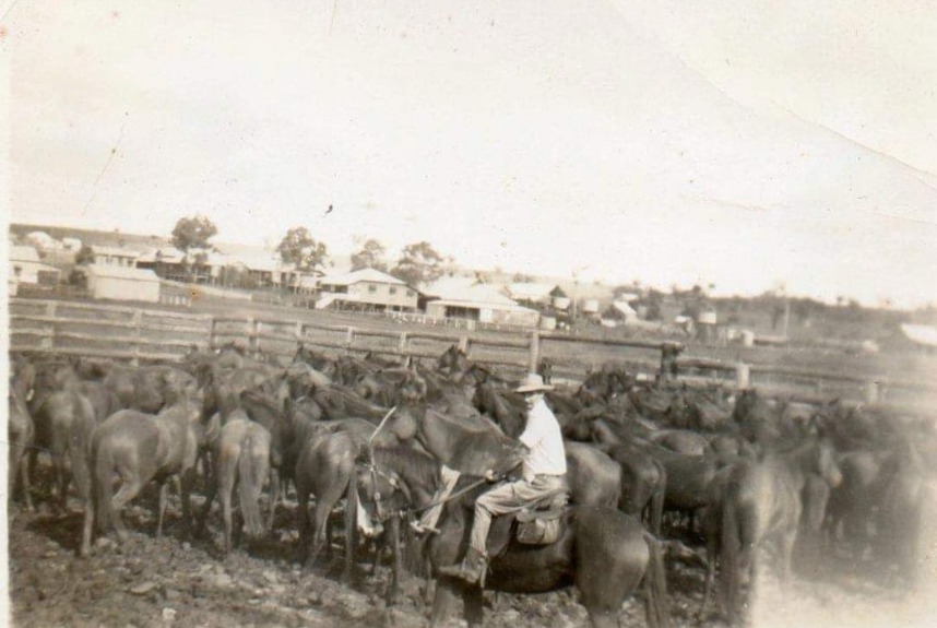 "This is my Dad, Hughie Byrne, from Allora Qld. He & a couple of other men broke in horses at Emerald Qld for sale to India. This was after he came back from active service at Milne Bay PNG.
I don't know what breed they were. Maybe others would have more information.
Dad started racehorses & rode trackwork at Clifford Park Toowoomba into his late 60's.
I remember my dad talking about taking mobs of horses from Warwick to Toowoomba for the sales."
