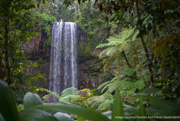 Atherton Tablelands Area Waterfall, Tourism and Events Queensland