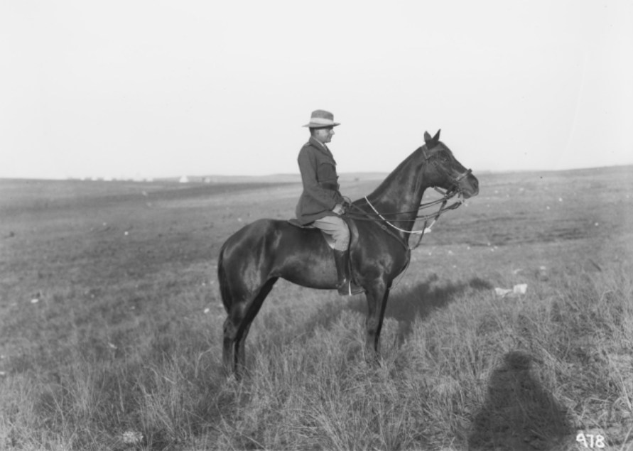 'Captain Woods, the Brigade Veterinary Officer, of the 2nd Australian Light Horse Brigade, mounted on his horse. November 1918. Rishon, Palestine.' AWM
