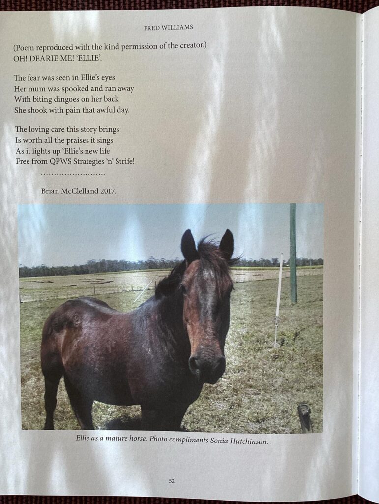 Excerpt about Ellie taken from Equine Epitaph - Fraser Island's Last Brumby, book by Fred Williams. Supplied by Sonia Hutchins.