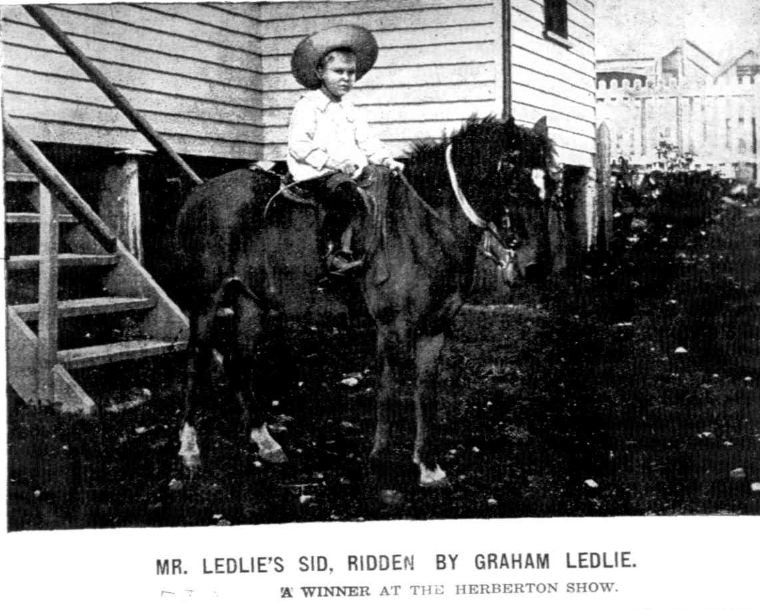 Mr Ledlie's Sid at Heberton Show, North Queensland Register, 12 June 1905