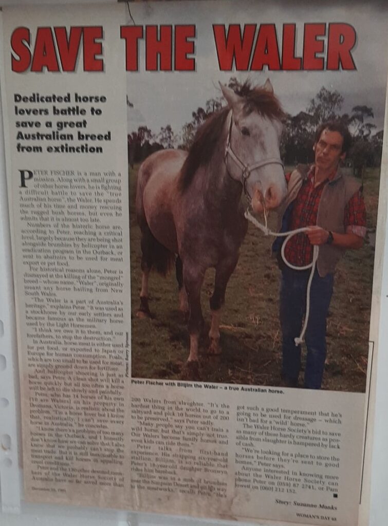 1988 Woman's Day article about Peter Fischer saving the Waler