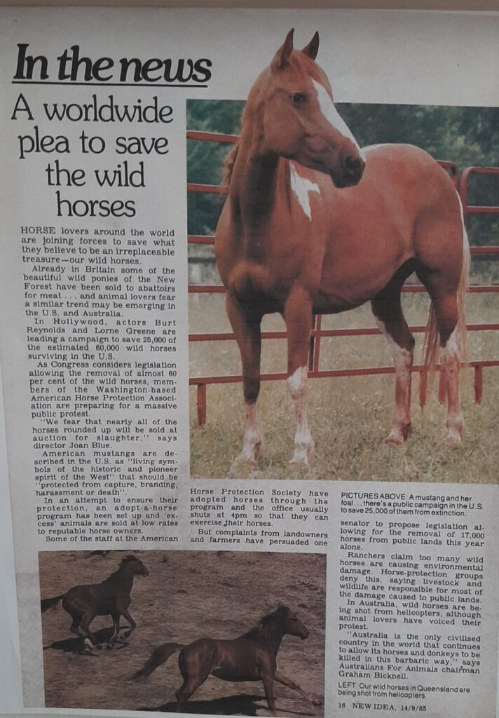 Article about saving Walers p1, New Idea, 16 July 1988