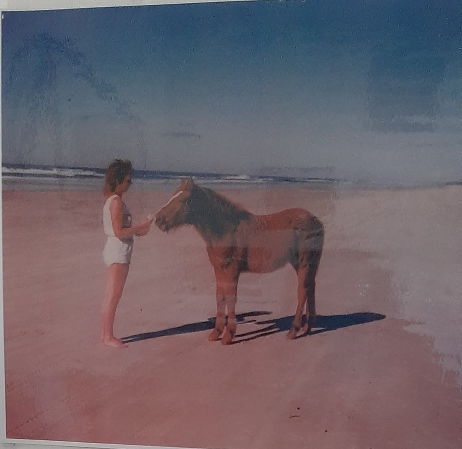 Sonia Hutchinson with young brumby on Fraser Island, supplied by Sonia Hutchinson