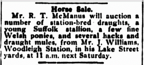 Horse Sale Advertisement, Cairns Post, 8th March 1921