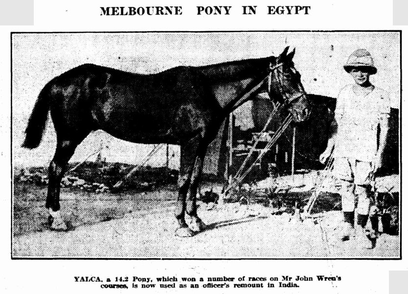 Pony Yalca, Winner (Melb. newspaper), 8th March, 1916