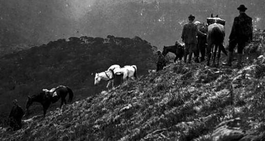 A trip by a Victorian Government minister (unnamed) into the mountain country north of Maffra. Walking the horses down a steep slope on Mt Howitt. 1915.' Museums Vic
