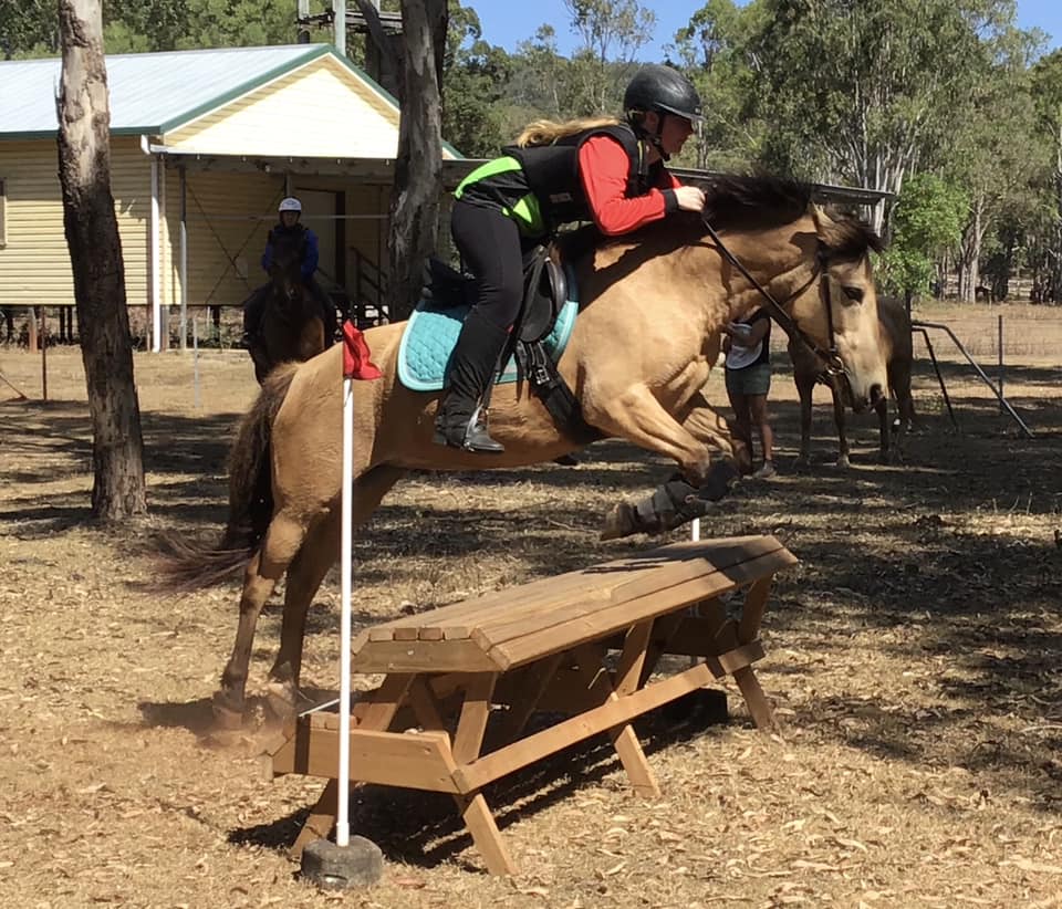 Silver Valley pony mare Twiggy