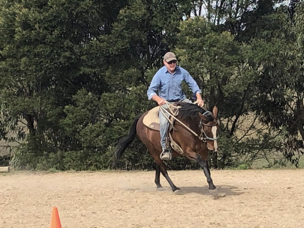 Waler mare Indi with trainer Drew