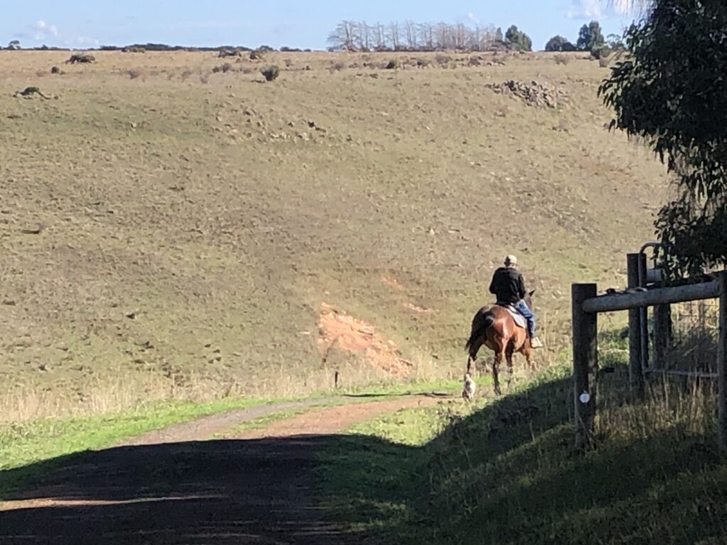 Indi riding out with Mark April 2024