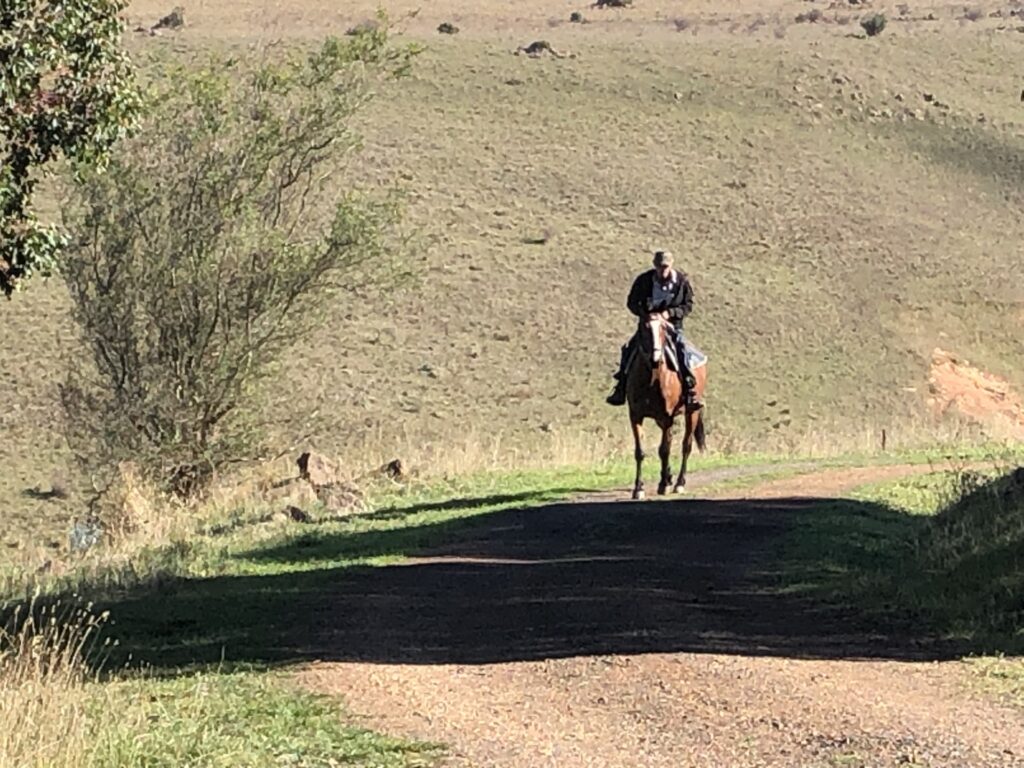 Indi riding back home with Mark April 2024