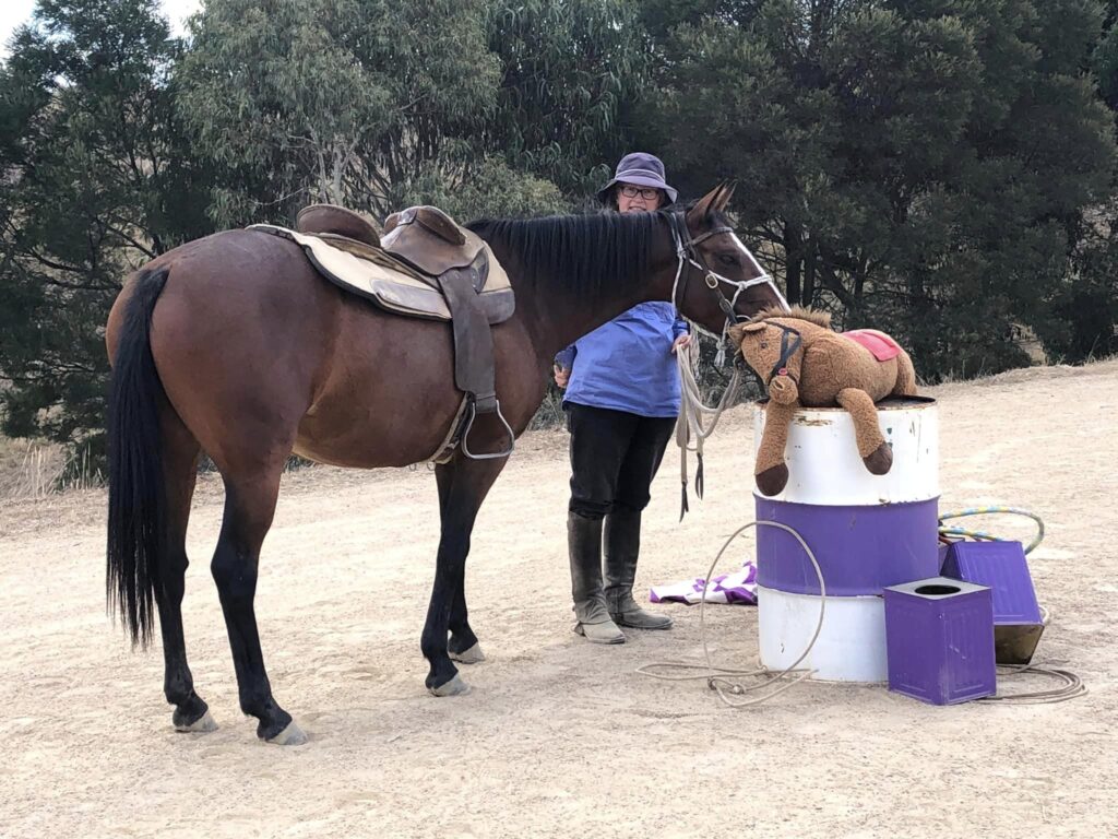 Indi at Obstacle clinic