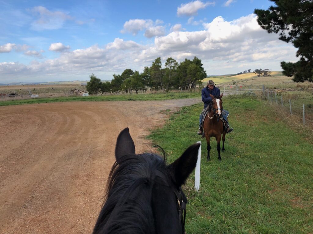 Indi out with stallion Ezekiel June 2004