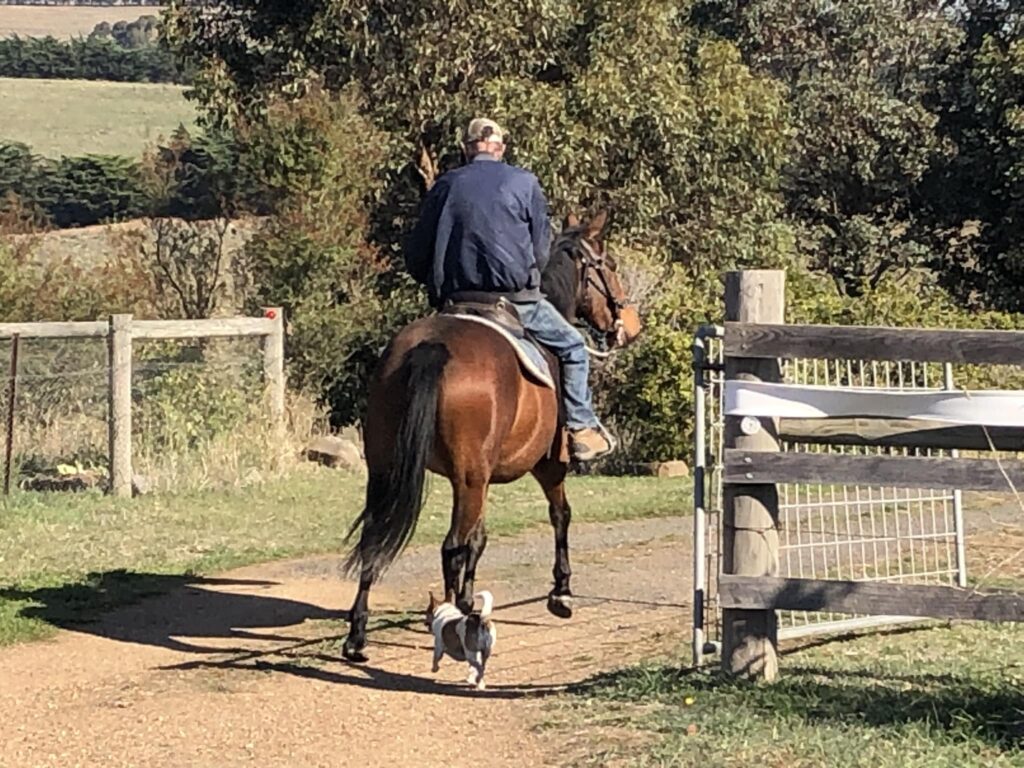 Indi with Mark riding out