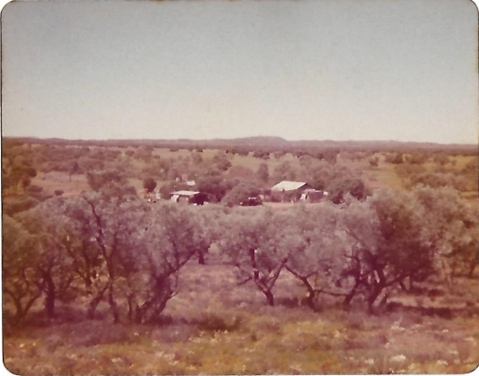 On Ringwood Station NT, October 1978. Michael Gaynor private collection photo.