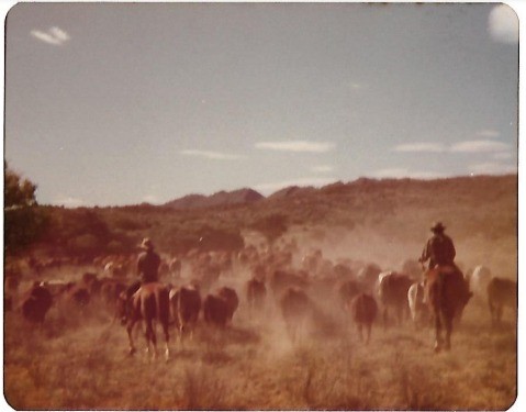 On Ringwood Station NT, October 1978. Michael Gaynor private collection photo.