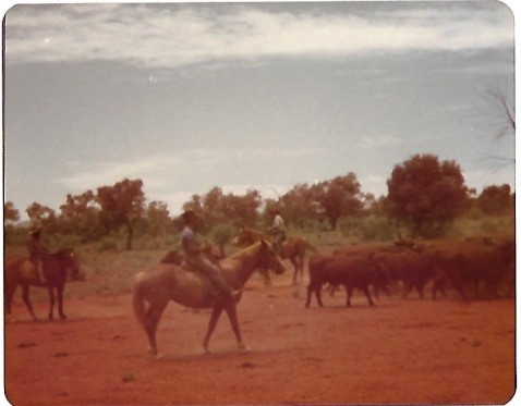 On Ringwood Station NT, October 1978. Michael Gaynor private collection photo.