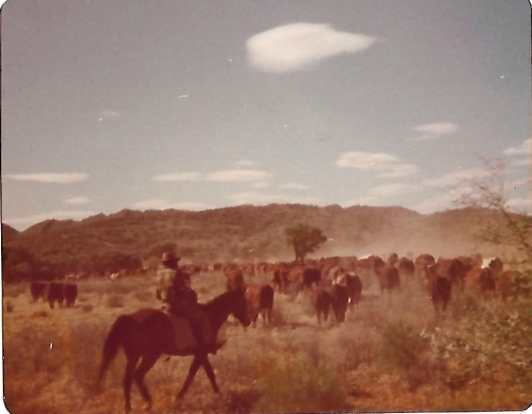 On Ringwood Station NT, October 1978. Michael Gaynor private collection photo.