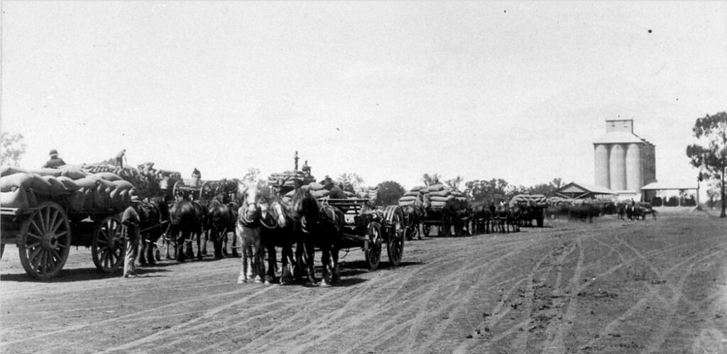 'Finley Railway Yards and Silo and horse and wagon teams - Finley, NSW.' State Library NSW