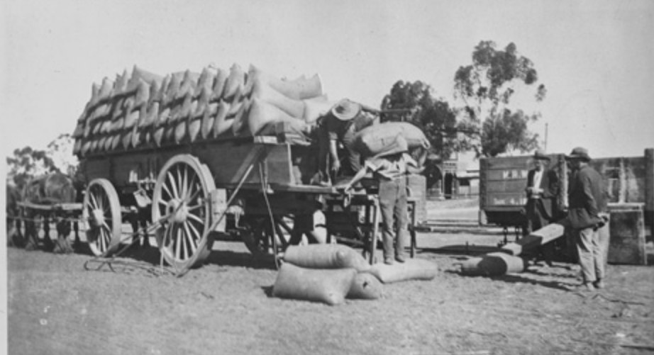 Bulk wheat, 1910, State Library of WA