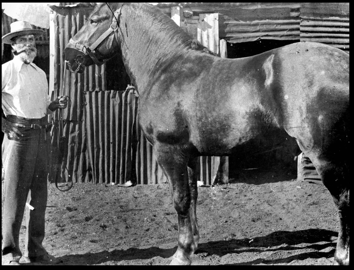 'Dan Thorn, with his horse Barley, Croydon.' State Library Qld