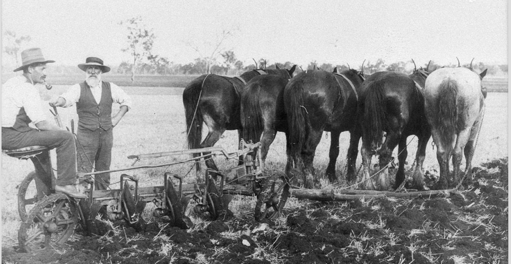 Ploughing with a 4 disc plough on "Dunvegan", Oakwood. Five horse team - Inverell area, NSW. c. 1910. The man standing is George William Palmer, thank you Josh Palmer for the ID