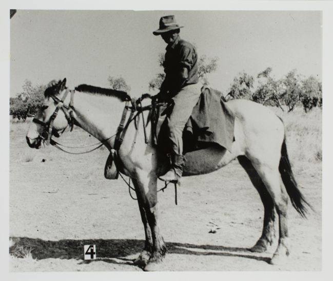 'Drover, Slippery Prendergast.' B.C. Mettam collection Territory Stories