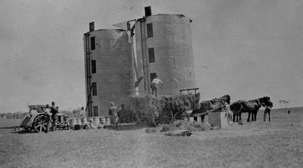 'Filing silos at George Clarence Spencer's property, 2 October 1925.' S.L.NSW