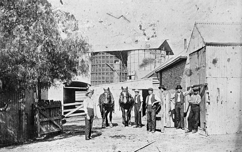 'Horses & Workers in Farmyard, 'Gladstone Park' Station, The silo is of Danish design. Tullamarine, Victoria, circa 1905.' Museums Vic.