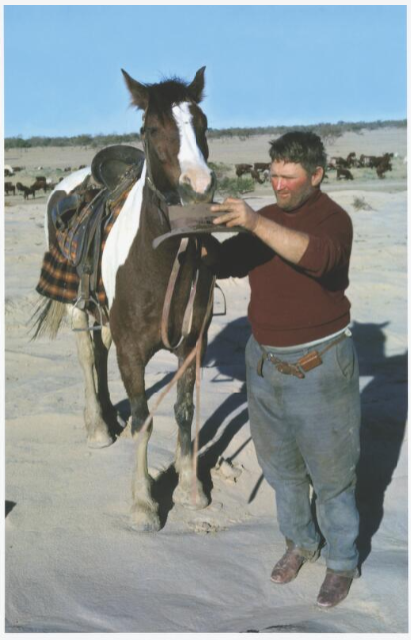 Drover Len Cant gives his horse a drink from his hat on the Birdsville Track, .... 1963 [picture] / Jeff Carter.' National Library Australia.