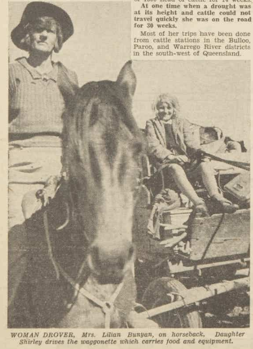 Lilian Bunyan of Thargomindah, drover. 
The Australian Women's Weekly, Saturday 9th of October 1948.