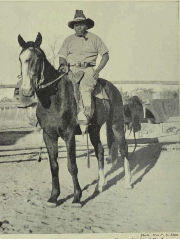 'Romeo, an Aboriginal well known in the Chartres Towers district of North Queensland as a first class stockman,'

Walkabout, 1st April 1956