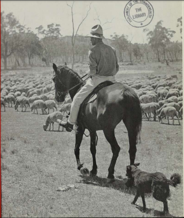 'The Drover.' Front cover of Walkabout magazine, 1st May 1937. National Library of Australia.